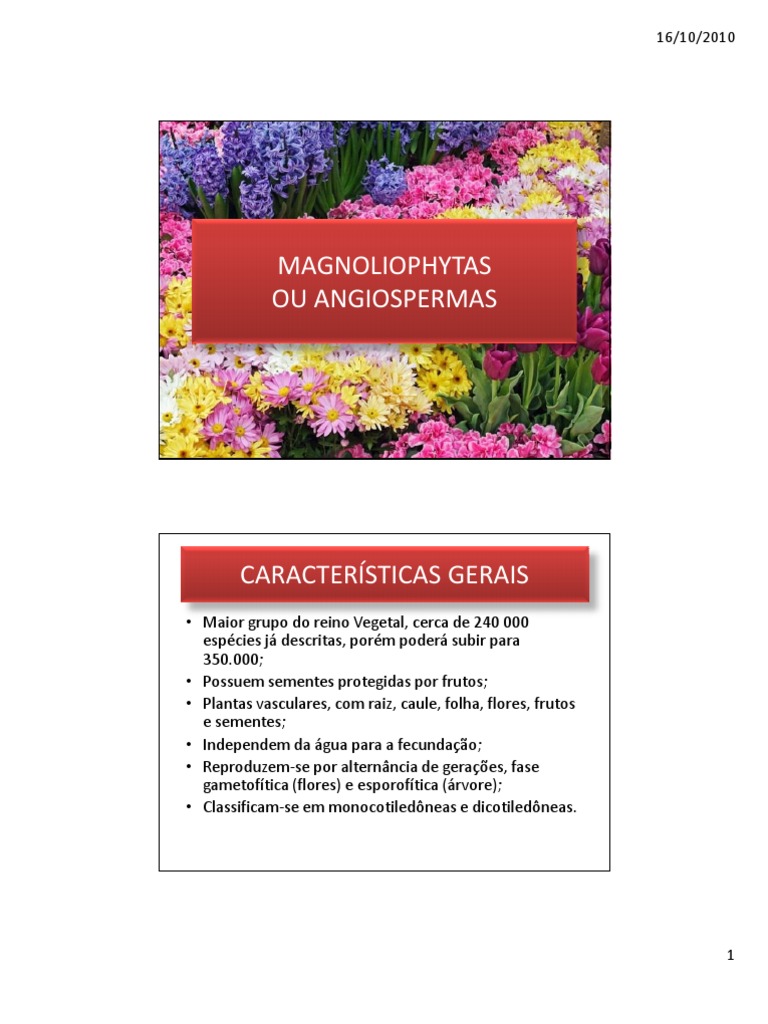 Características das Angiospermas | PDF | Semente | Fruta