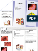 Leaflet Penkes Gastritis