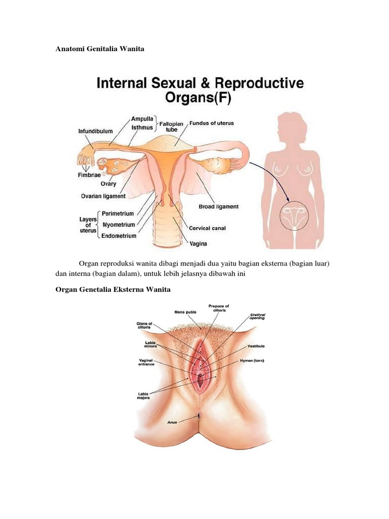 Ogir oqindi bilan mushuk porno