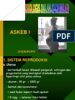 Adaptasi FISIOLOGI Ibu Hamil