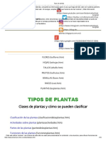 Tipos de Plantas