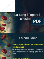 La Sang I L'aparell Circulatori