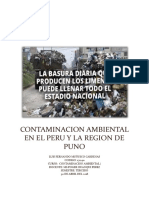 Contaminacion Ambiental en El Peru y La Region de Puno