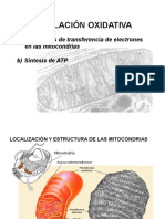 FosforilacionOxidativa_33246.pdf