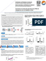 Cartel Verano Cientifico Corr