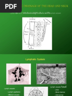 Download Lymphatic by boomb162006 SN39485076 doc pdf