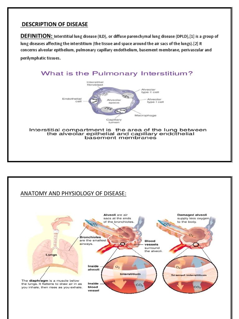Description of Disease PDF Lung Respiratory Diseases