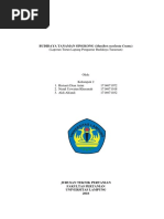 Makalah Bonus Demografi