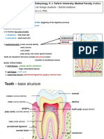 Structure of tooth 2014 ID topics.pdf