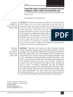 ID Pembuatan Dan Evaluasi Pati Talas Coloca PDF