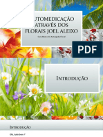 Automedicação Através Dos Florais Joel Aleixo