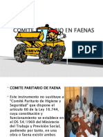 Comite Paritario en Faenas