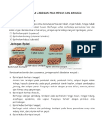 Macam Jaringan Hewan Dan Manusia7a