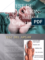 TEST de Evaluacion, Apgar, Ballard, Capurro