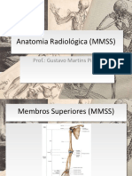 aula-03-anatomia-radiolc3b3gica-mmss-teoria.pdf