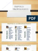 Triptico Antropologico