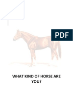 What Kind of Horse Are You