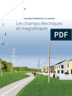 Champ Magnétique - Hydro PDF