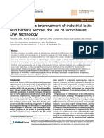 bej1.pdf