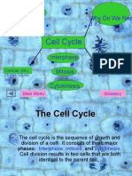 Cell Cycle: What Is It? Why Do We Nee D It?