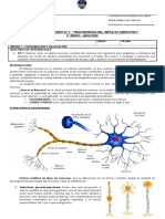 Guía N°1 - Laboratorio impulso nerviso - 2do medio