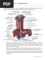 3. CIRROSE HEPATICA - Consequências