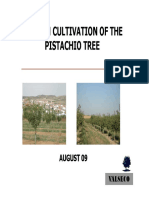 Modern Cultivation of The Modern Cultivation of The Pistachio Tree Pistachio Tree