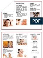 Limpieza Facial Triptico 2018