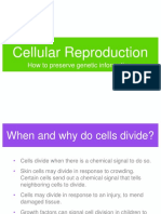 Cellular Reproduction: How To Preserve Genetic Information