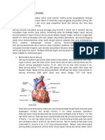 ANATOMI_JANTUNG_MANUSIA.pdf