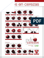 Poster Danos Cerezas PDF