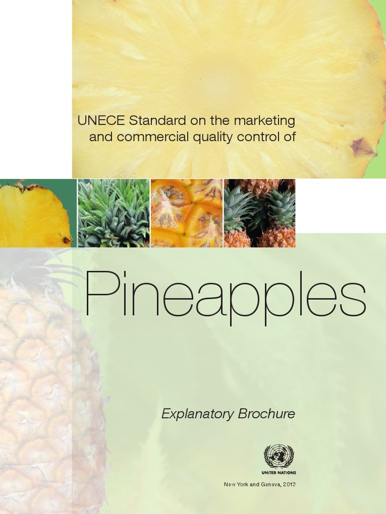 Pineapples QC Inspection Procedures Eng PDF Pineapple Fruit