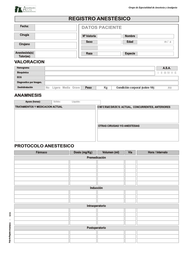 Hoja De Registro Anestesico GAVA Anestesia Especialidades Medicas