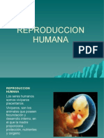 Reproduccion Humana 97 2003