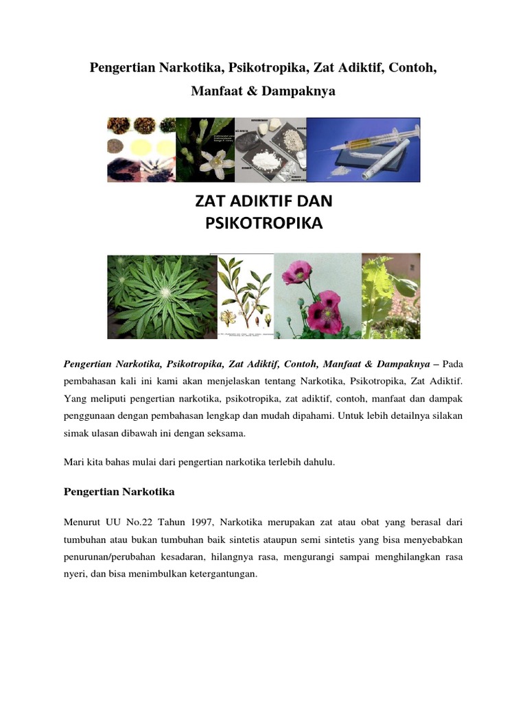 Pengertian Narkotika Docx