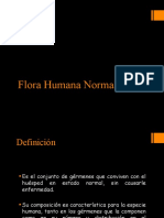 Flora Humana Normal