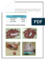 Practica 13 Clasificacion de La Cebolla Termnado