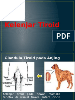 Histologi Tiroid