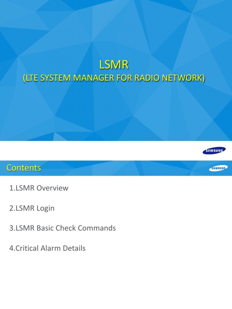 LSMR | PDF | Tab (Gui) | Command Line Interface