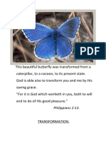 This Beautiful Butterfly Was Transformed From A