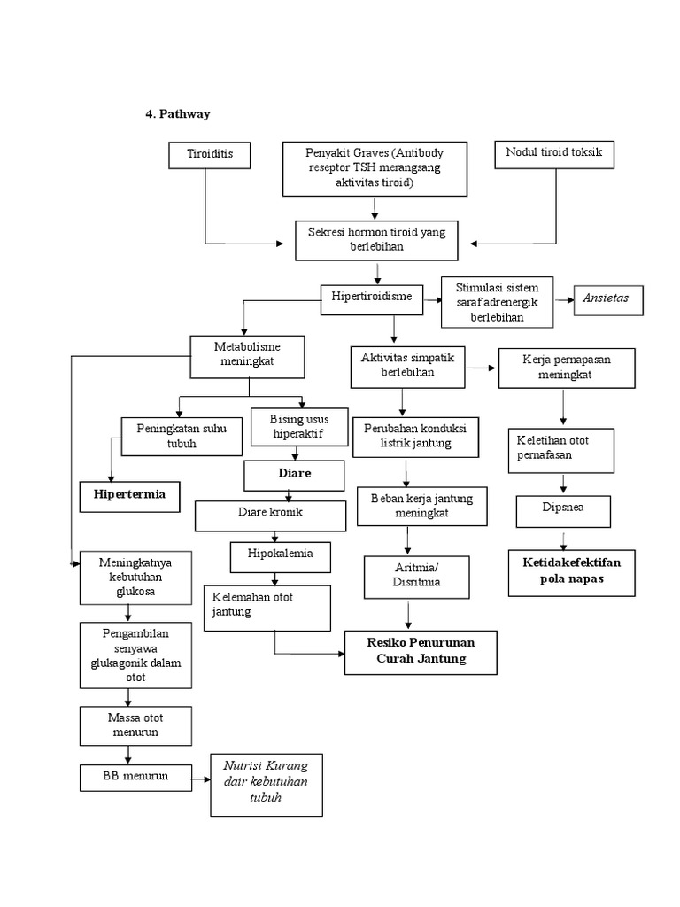 4 pathway ansietas