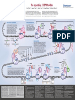 CRISPR_poster-WEB.pdf