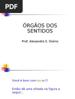 Biologia PPT - Órgãos dos Sentidos