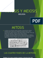 Mitosis y Meiosis