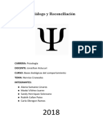 Modelo de Informe Pares Craneales