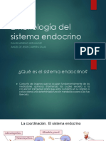Embriologia_del_sistema_endocrino.pptx