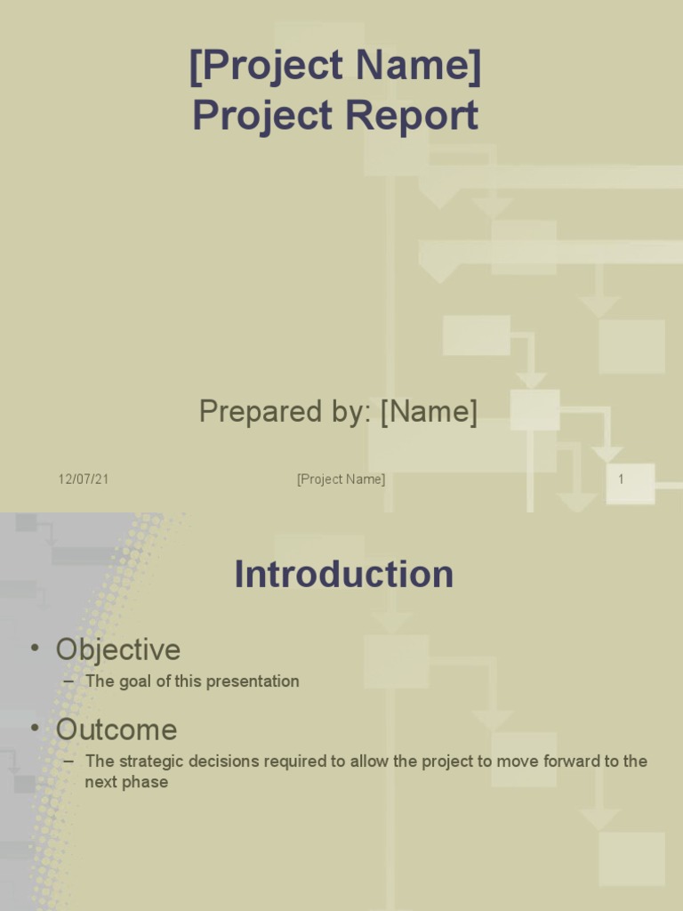 Project Report: Overview & Risks | PDF | Risk | Business