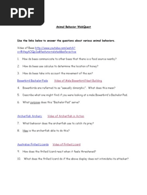 Animal Behavior Webquest Pdf