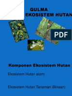 Gulma Hutan PDF