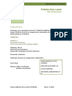 Profesión-Área o Sector: Perfil Profesional